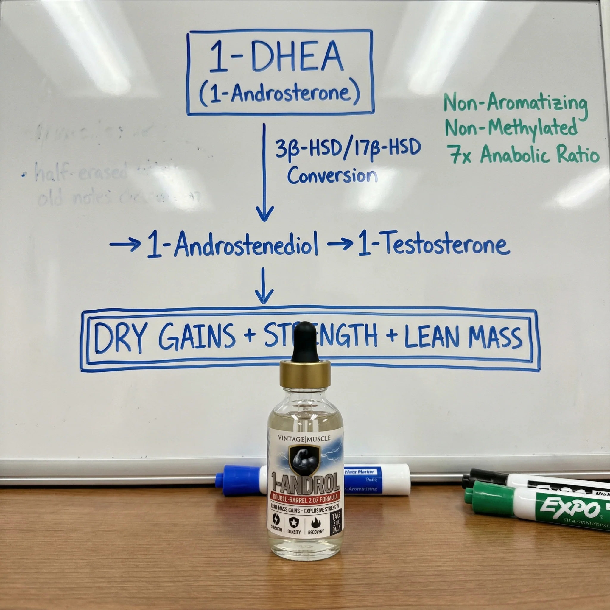 Lean Mass Supercharger - 1-Androl - Image 3