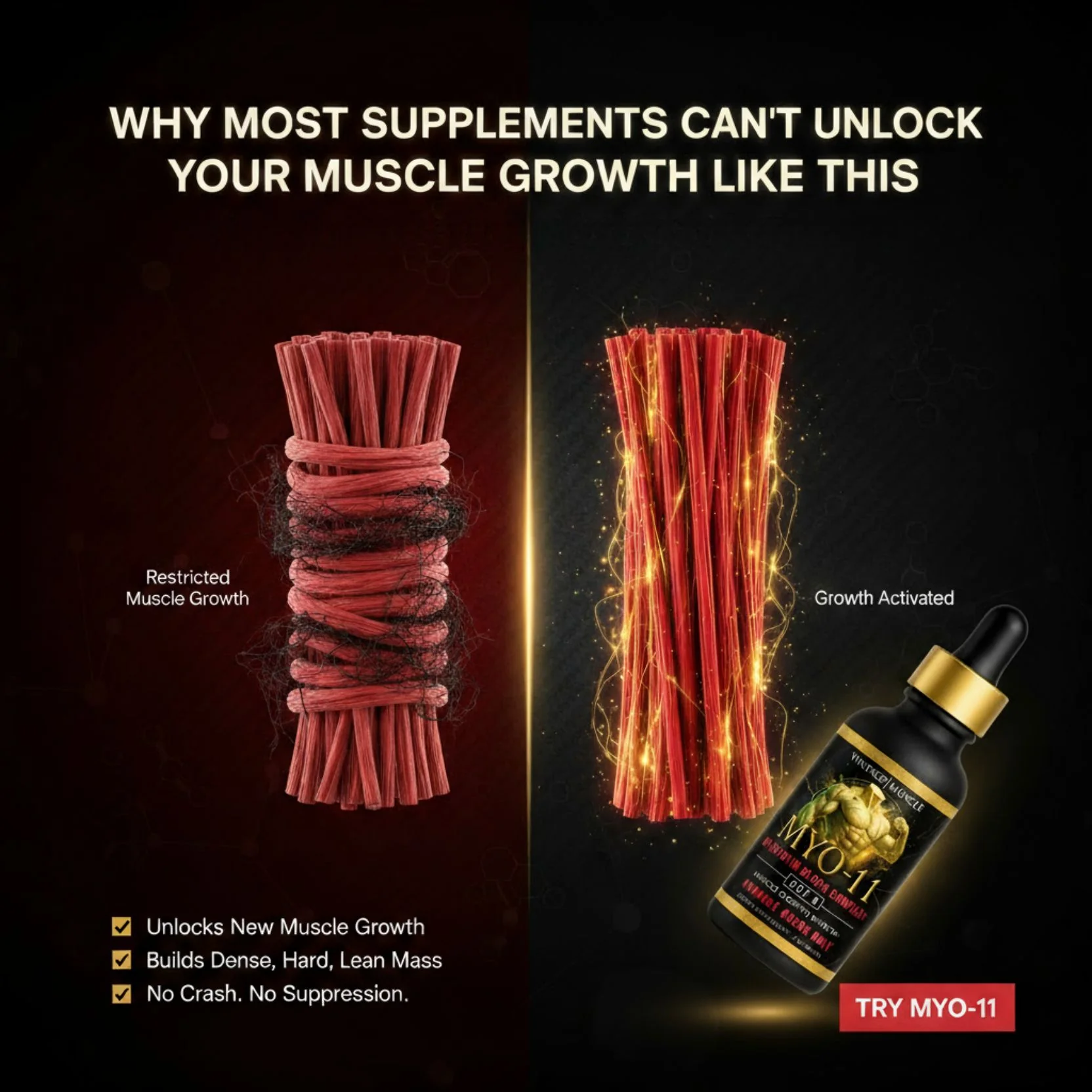 Myostatin Inhibitor Muscle Builder - MYO-11 - Image 3