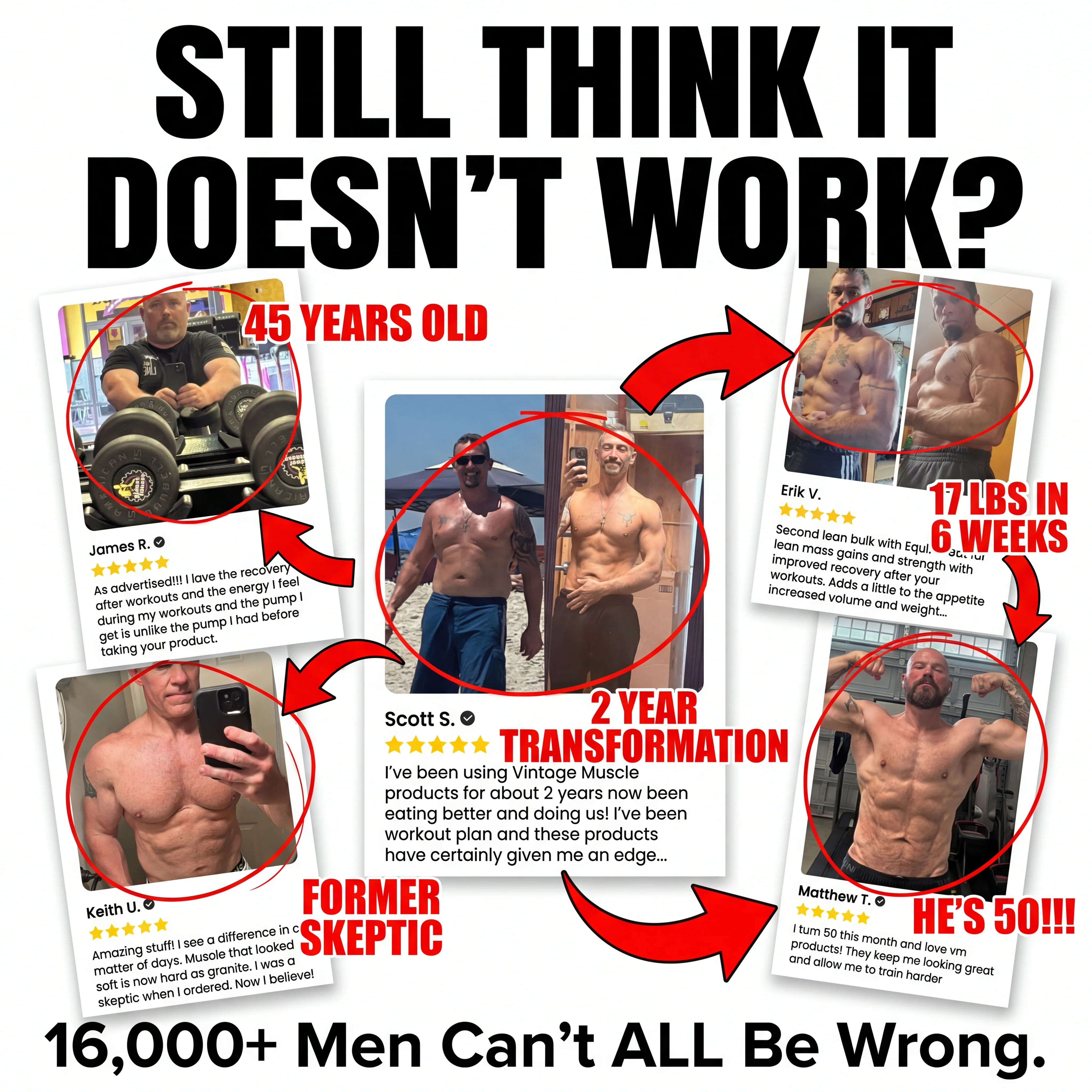 Testosterone Precursor - RAD-Mass - Image 12