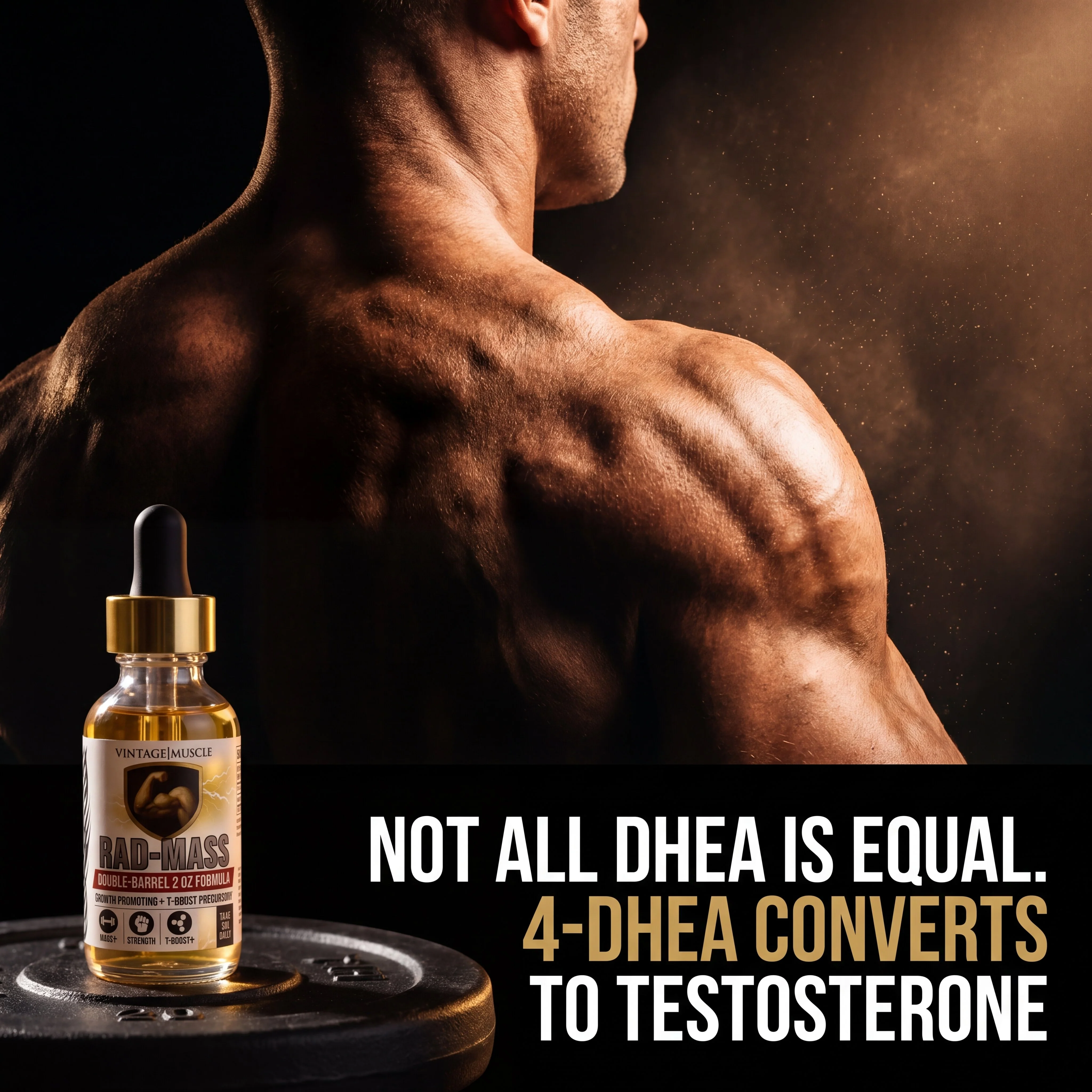 Testosterone Precursor - RAD-Mass - Image 3