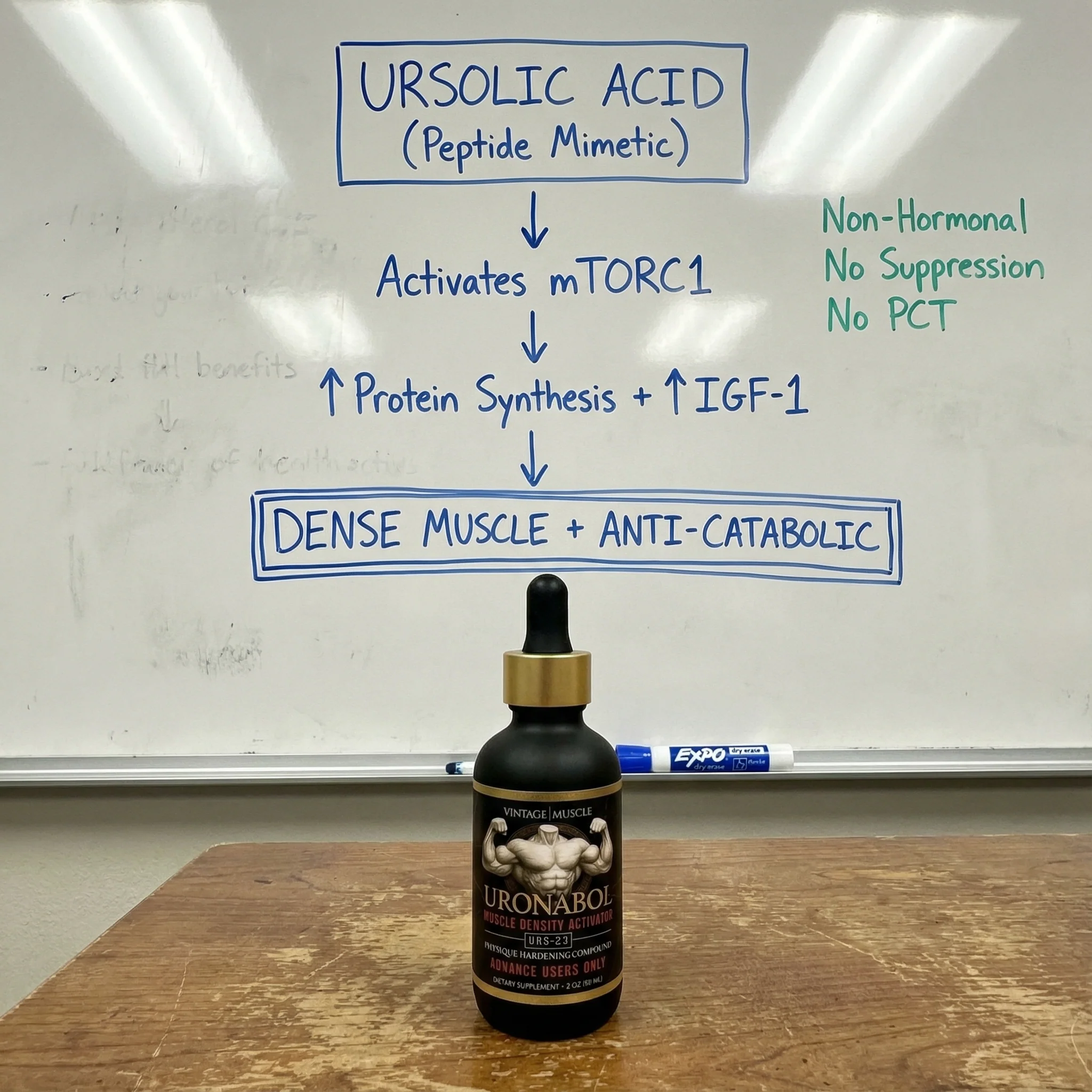 Muscle Density Activator - Uronabol - Image 3