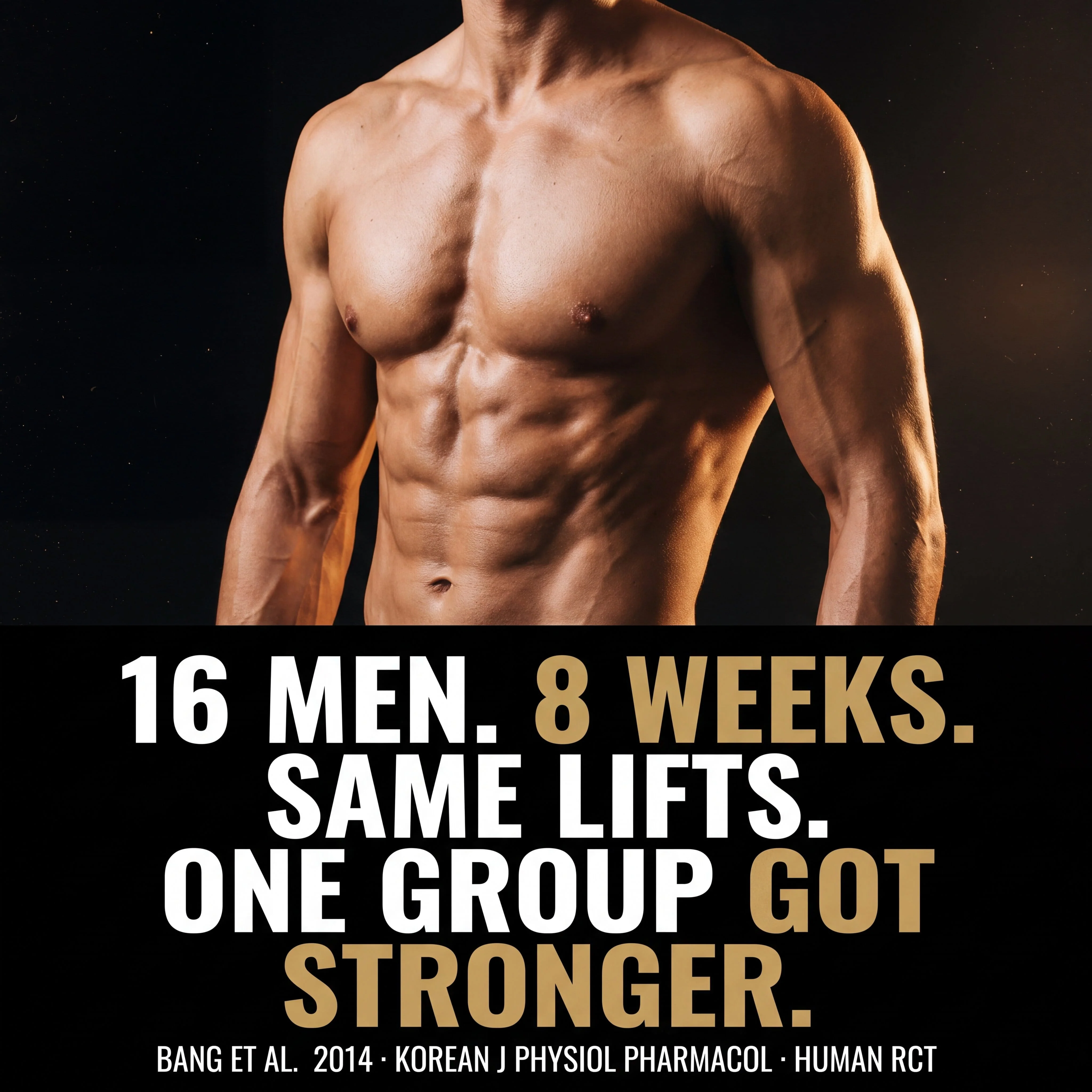 Muscle Density Activator - Uronabol - Image 5