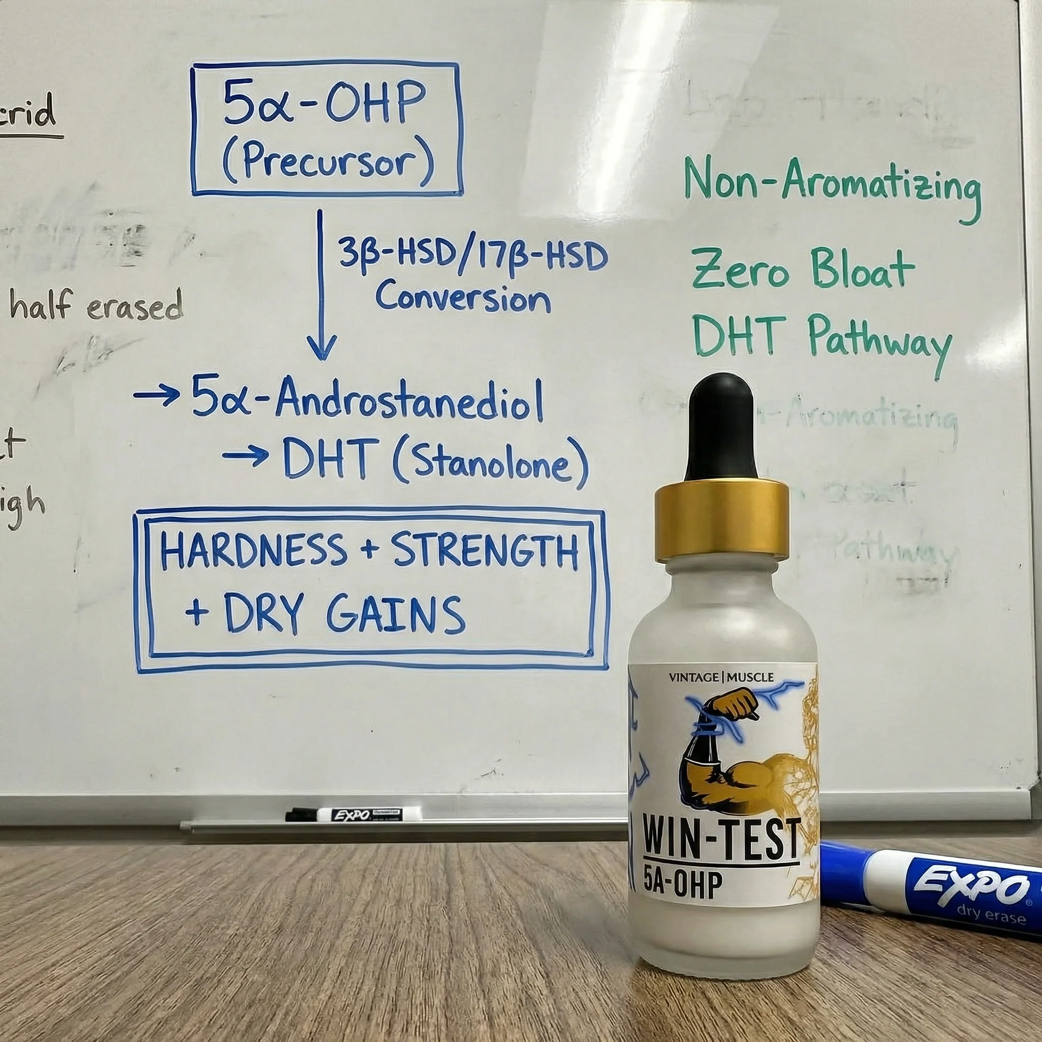 Advanced Physique Hardening - Win-Test™ - Image 3