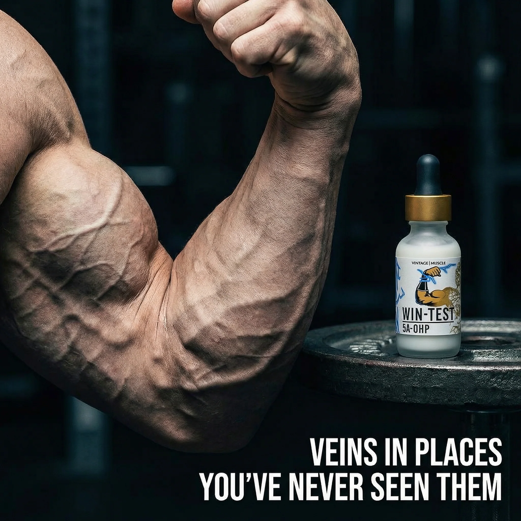 Advanced Physique Hardening - Win-Test™ - Image 4
